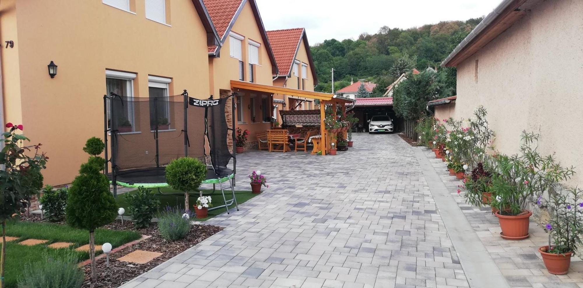Agica Vendeghaz Villa Andornaktalya Exterior photo